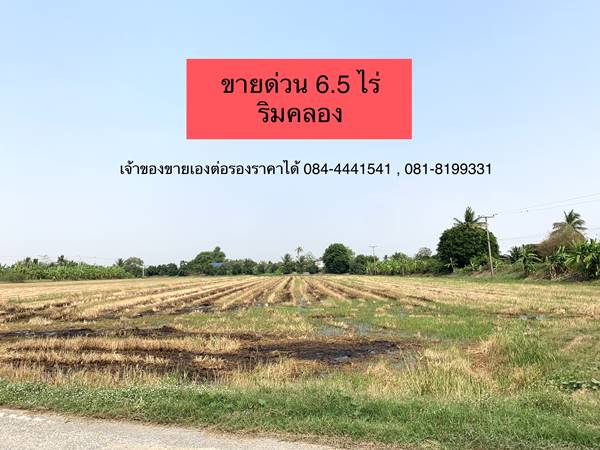 ขายด่วน! ที่ดินแปลงสวย อำเภอพุทธมณฑล นครปฐม 6.5 ไร่ ริมคลอง และติดถนน ทำหมู่บ้าน,โรงงาน,โกดัง